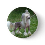 Customize Product Button