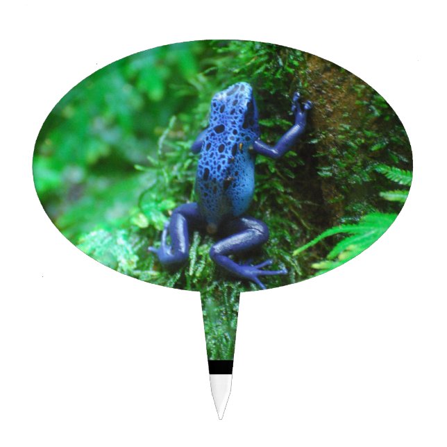 Customize Product Cake Topper (Front)