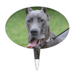 Customize Product Cake Topper