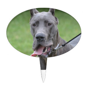 Customize Product Cake Topper