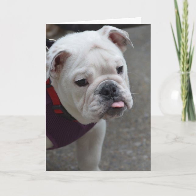 Customize Product Card (Front)