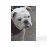 Customize Product Card