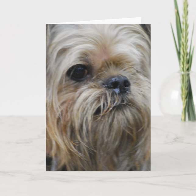 Customize Product Card (Front)