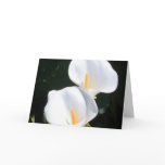 Customize Product Card