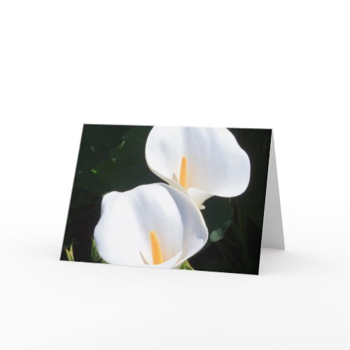 Customize Product Card