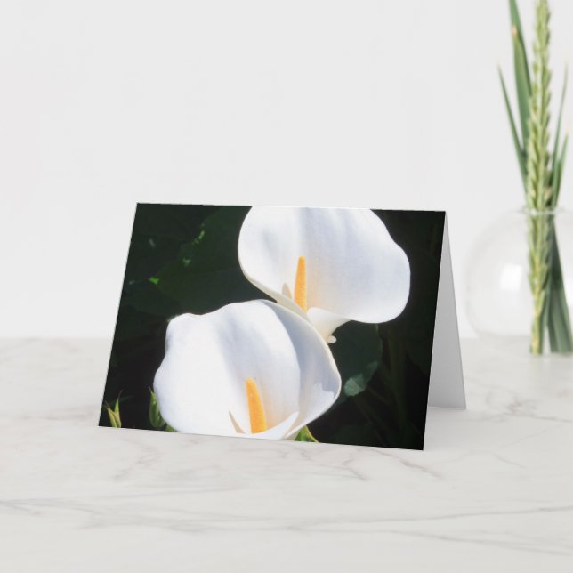 Customize Product Card (Front)