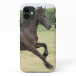 Customize Product iPhone 11 Case