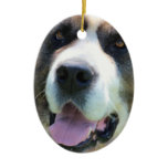 Customize Product Ceramic Ornament