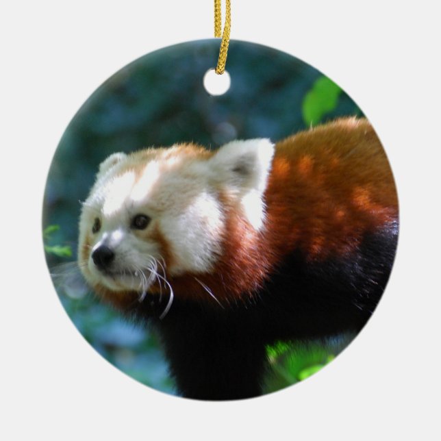 Customize Product Ceramic Ornament (Front)