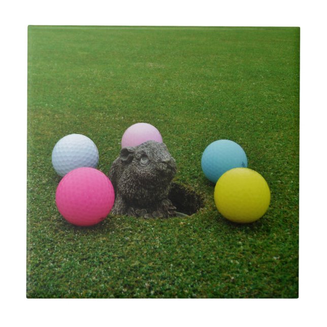 Customize Product Ceramic Tile (Front)