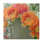 Customize Product Ceramic Tile