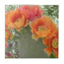 Customize Product Ceramic Tile