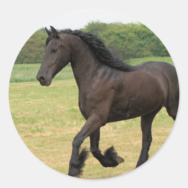 Customize Product Classic Round Sticker (Front)