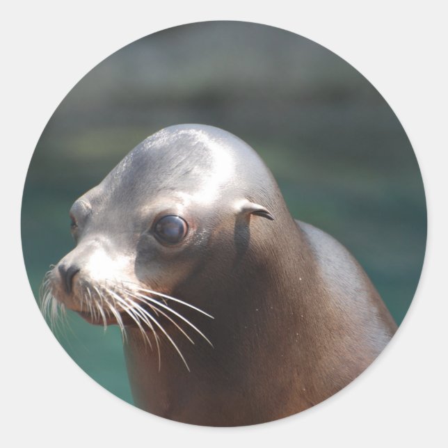 Customize Product Classic Round Sticker (Front)