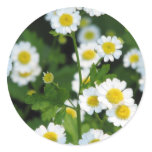 Customize Product Classic Round Sticker