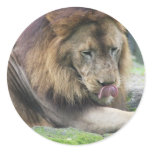 Customize Product Classic Round Sticker