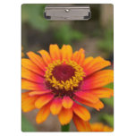 Customize Product Clipboard