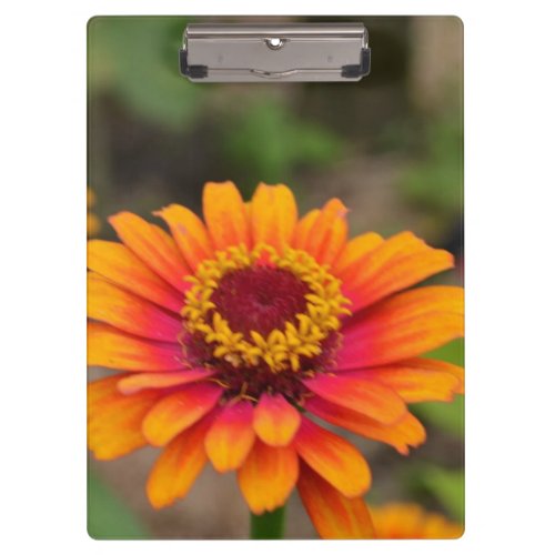 Customize Product Clipboard