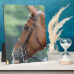 Customize Product - Customized Plaque