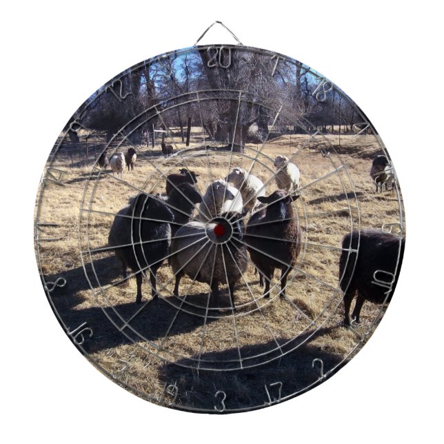 Customize Product Dartboard With Darts (Front)