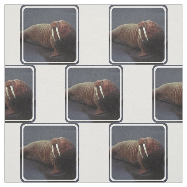 Customize Product Fabric (Swatch)