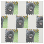 Customize Product Fabric