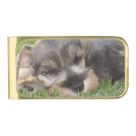 Customize Product Gold Finish Money Clip