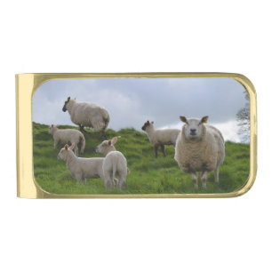 Customize Product Gold Finish Money Clip