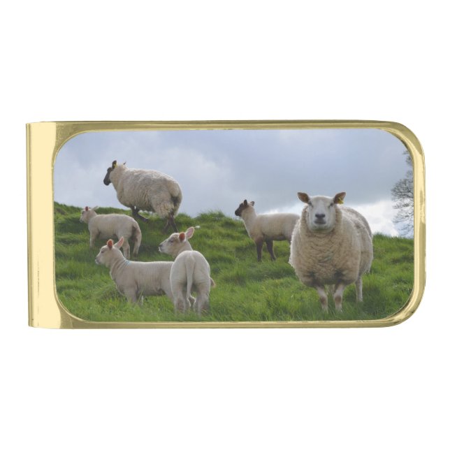 Customize Product Gold Finish Money Clip (Front)