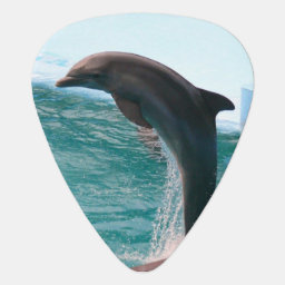 Customize Product Guitar Pick