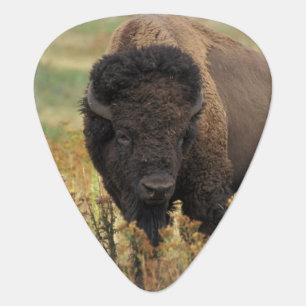 Customize Product Guitar Pick