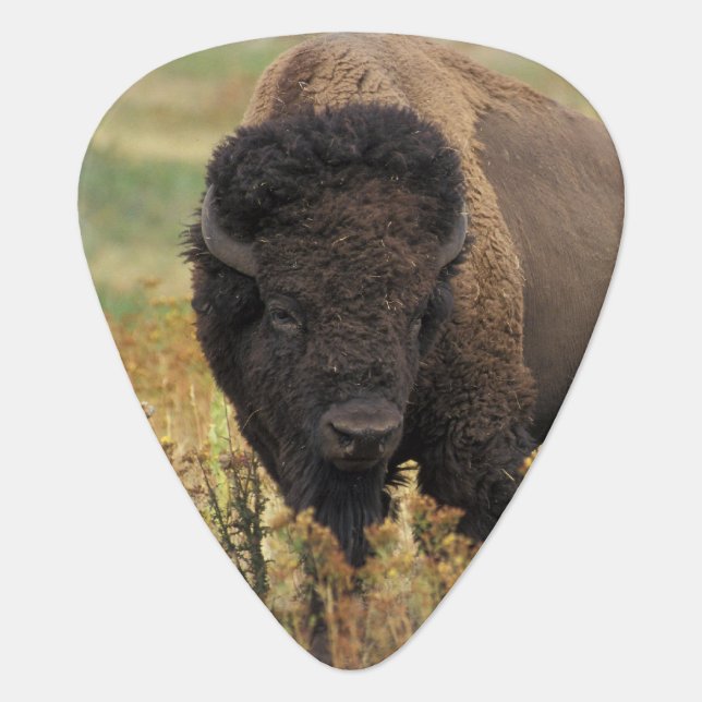 Customize Product Guitar Pick (Front)