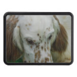 Customize Product Hitch Cover