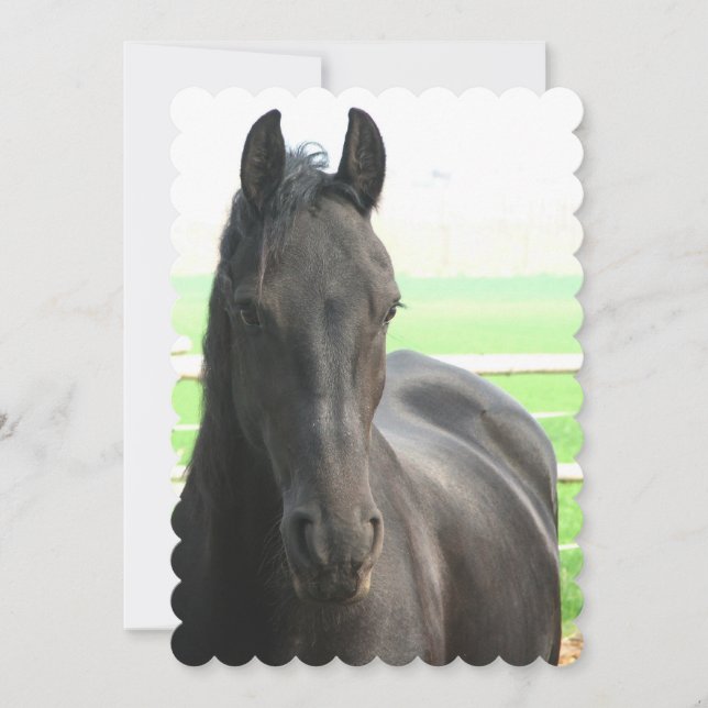 Customize Product Invitation (Front)