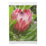 Customize Product Kitchen Towel