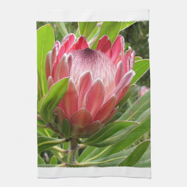 Customize Product Kitchen Towel (Vertical)