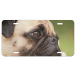 Customize Product License Plate