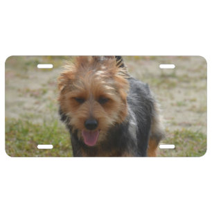 Customize Product License Plate