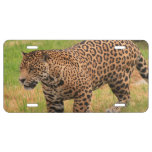 Customize Product License Plate