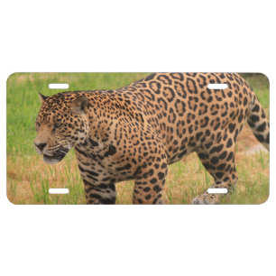 Customize Product License Plate