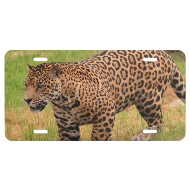 Customize Product License Plate (Front)