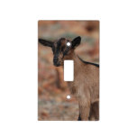 Customize Product Light Switch Cover