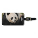 Customize Product Luggage Tag
