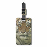 Customize Product Luggage Tag
