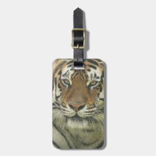 Customize Product Luggage Tag
