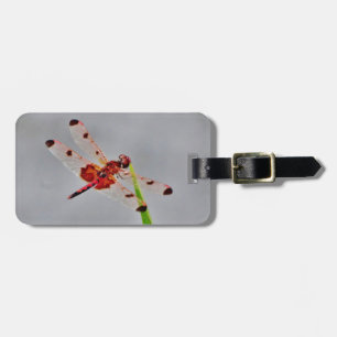 Customize Product Luggage Tag