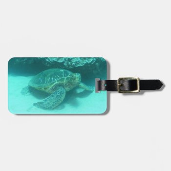 Customize Product Luggage Tag by WindsurfingGifts at Zazzle