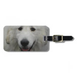 Customize Product Luggage Tag