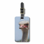 Customize Product Luggage Tag