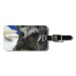 Customize Product Luggage Tag